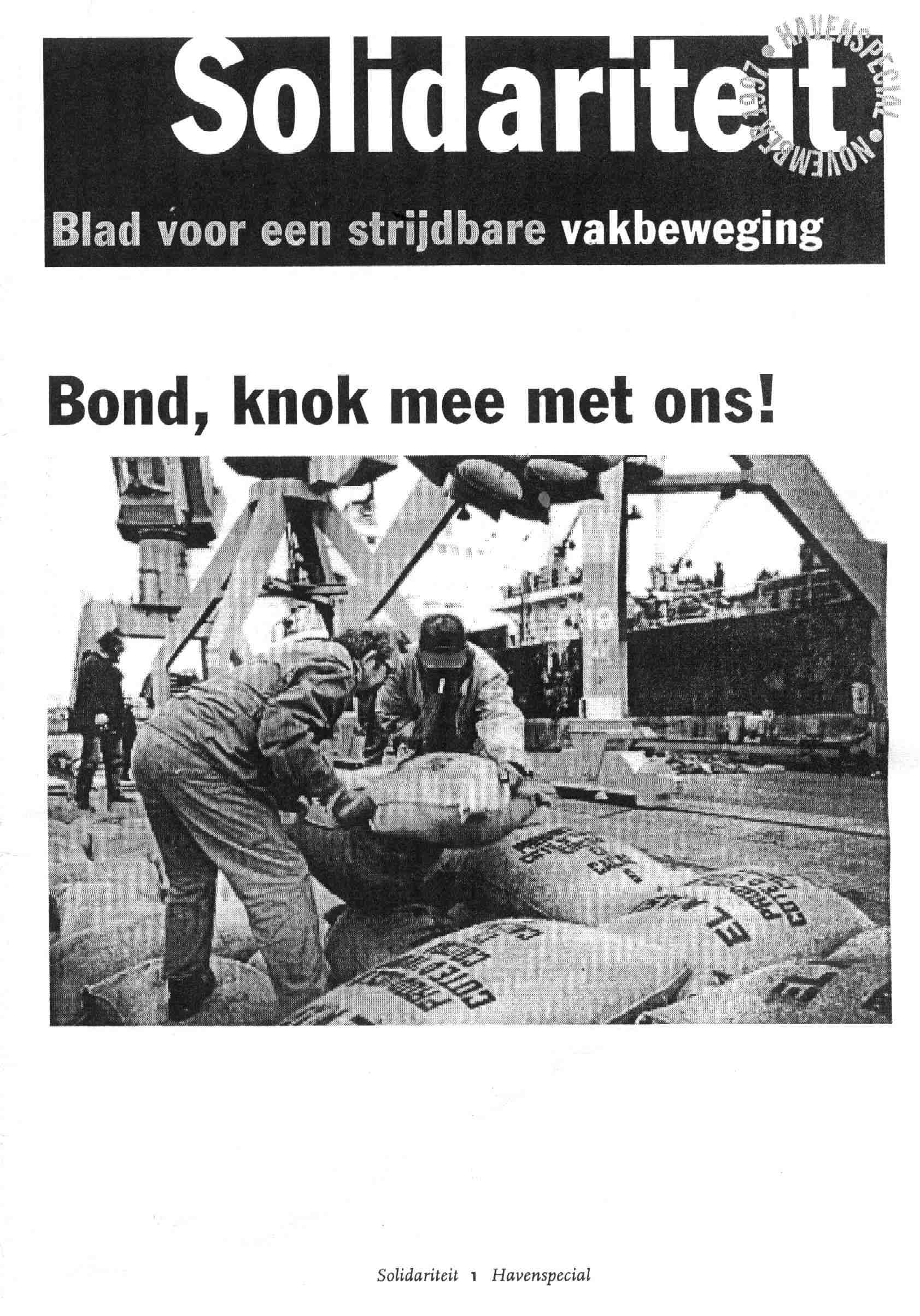 Op kleiner formaat ontstaat interferentie tussen de pixels van de foto en het beeldscherm