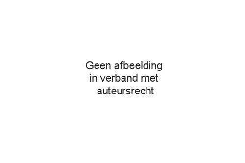 Dirk Scheringa