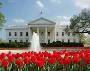 Foto Het Witte Huis