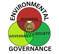environmental governance