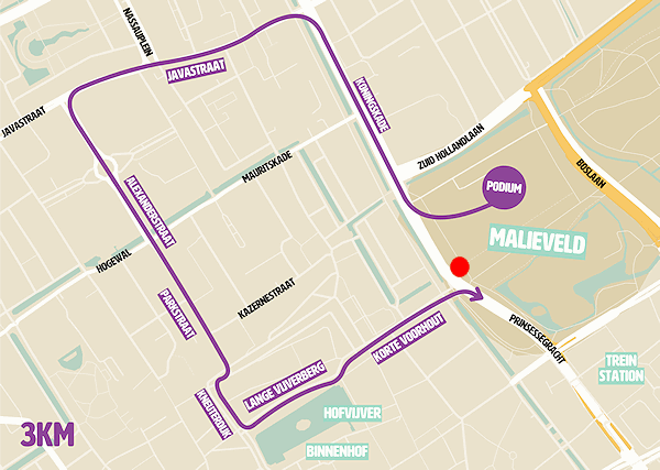 Route Koningskade - Javastraat - Alexanderstraat -Kneuterdijk - Lange Vijverberg - Korte Voorhout - Malieveld